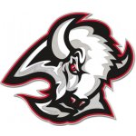 Wincraft Odznak Buffalo Sabres NHL Enamel Pin Jewelry Card – Zboží Dáma