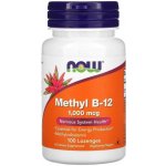 Now Foods Foods Methyl B-12 1000mcg 100 pastilek – Hledejceny.cz