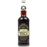 Fentimans Curiosity Cola 275 ml – Sleviste.cz
