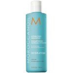 Moroccanoil Hydrating Shampoo 250 ml – Zbozi.Blesk.cz