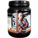 Explomax Instant BCAA 8:1:1 Professional 500 g