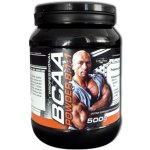 Explomax Instant BCAA 8:1:1 Professional 500g Příchuť: grep