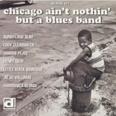 Chicago Ain’t Nothing But A Blues / Různí interpreti – Zbozi.Blesk.cz