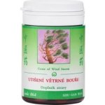 TCM Herbs Utišení větrné bouře 100 tablet – Hledejceny.cz