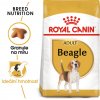 Granule pro psy Royal Canin Beagle 12 kg