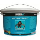  MASTERsil Chlor Multiplex tablety 5 kg
