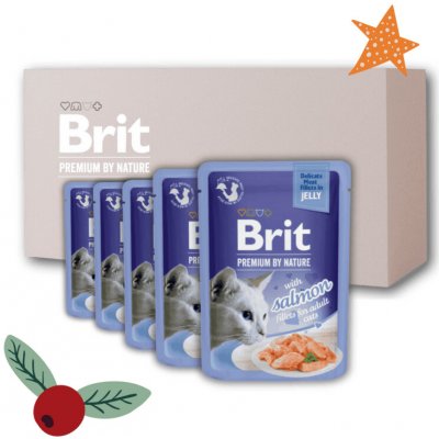 Brit Premium Cat Delicate Fillets in Jelly with Salmon 24 x 85 g – Sleviste.cz