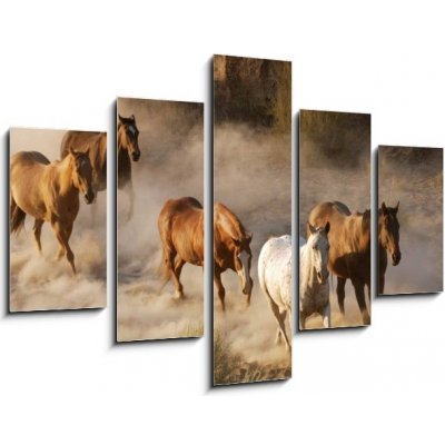 Obraz 5D pětidílný - 150 x 100 cm - wild horses running divoké koně běží – Zboží Mobilmania