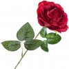 Květina Růže červená 50 cm, balení 5 ks