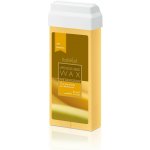 Italwax vosk depilační Růže 100 ml – Hledejceny.cz