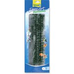 Tetra Hygrophila L 30 cm – Hledejceny.cz