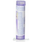 INFLUENZINUM POR 30CH GRA 4G – Hledejceny.cz