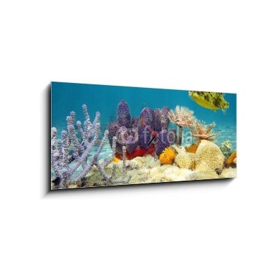 Obraz s hodinami 1D panorama - 120 x 50 cm - Colorful underwater marine life seabed Barevné podvodní mořské dno mořského života – Zboží Mobilmania