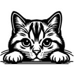 samolepka Evropská krátkosrstá kočka 1 – Zboží Mobilmania