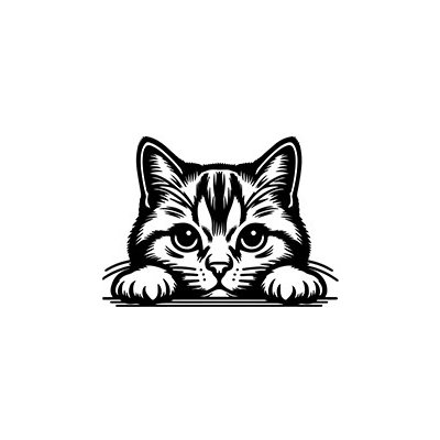 samolepka Evropská krátkosrstá kočka 1 – Zboží Mobilmania