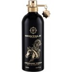 Montale Paris Arabians Tonka parfémovaná voda unisex 100 ml – Hledejceny.cz