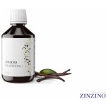 Zinzino BalanceOil+ Vanilla 300 ml – Hledejceny.cz
