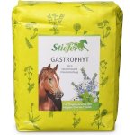 Stiefel Gastrophyt byliny pro zažívání střeva 1 kg – Hledejceny.cz