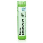 FERRUM PHOSPHORICUM POR 5CH GRA 1X4G – Hledejceny.cz
