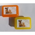 Tvar box svačinový dětský dekor plast – Zboží Dáma