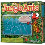 World Alive Jungle Ants - gelové mraveniště – HobbyKompas.cz
