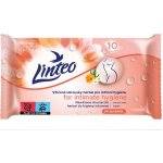 Linteo Satin Ubrousky vlhčené intimní 10 ks – Zboží Dáma