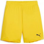 Puma TEAMGOAL SHORTS JR – Zboží Dáma