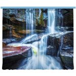 Fotozáclona AGdesign průhledná, přírodní vzor 280 x 245 cm – Hledejceny.cz