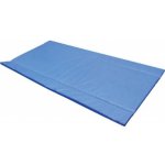 Rohož dezinfekční Standard 180 x 90 x 4 cm – Hledejceny.cz