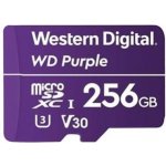 WESTERN DIGITAL WD microSDXC Class 10 256 GB WDD256G1P0C – Hledejceny.cz