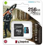 Kingston SDXC UHS-I U3 256 GB SDCG3/256GB – Zboží Živě