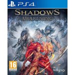 Shadows: Awakening – Zboží Dáma