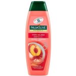 Palmolive Naturals 2in1Hydra Balance šampon a kondicionér 350 ml – Hledejceny.cz