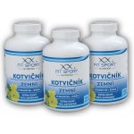 FitSport Nutrition Kotvičník zemní 90% + Vitamin B6 + Zinek 450 kapslí – Hledejceny.cz
