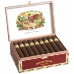 Brickhouse Robusto Natural 25 ks – Zboží Dáma