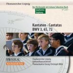 Johann Sebastian Bach - Kantaten (Cantatas) BWV 3, 65, 72 CD – Hledejceny.cz