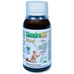 Orling ChondroCat Biosol 100 ml – Zboží Mobilmania