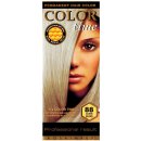 Color Time dlouhotrvající gelová barva na vlasy 88 stříbrná blond 85 ml