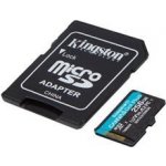 Kingston SDXC UHS-I U3 256 GB SDCG3/256GB – Zboží Živě