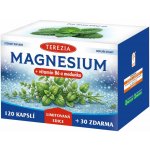 TEREZIA MAGNESIUM + vitamin B6 a meduňka Limitovaná edice 120 + 30 kapslí – Hledejceny.cz