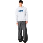 CCM JOFA Pullover Hoodie Big Print Light Grey Melange – Hledejceny.cz