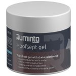 Hoofsept gel na kopyta štětec 400 g – Hledejceny.cz