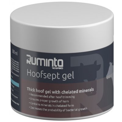 Hoofsept gel na kopyta štětec 400 g – Hledejceny.cz