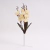 Květina Kytice gladiol 371431-26