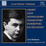 Hofmann, J. - Josef Hofmann - Acoustic Recordings – Hledejceny.cz
