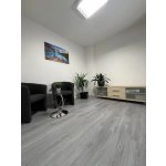 Egibi Green Line Dub šedý 2,142 m² – Sleviste.cz