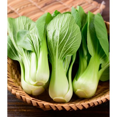 Pak Choi Shanghai - Brassica rapa chinensis - osivo pak choi - 200 ks – Hledejceny.cz