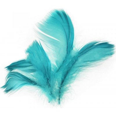 Peří v sáčku 10g tmavě tyrkysové – Zboží Dáma