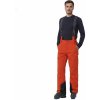 Pánské sportovní kalhoty Salomon Brilliant Pant LC2143900 fiery red