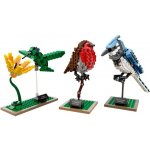 LEGO® Ideas Exclusive 21301 Ptáci – Zboží Dáma